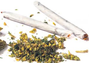 8 gramos de marihuana