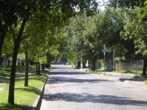 Parque san martin