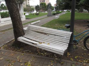 Vandalismo en la Plaza Mitre - 10 de Mayo IMG_4055