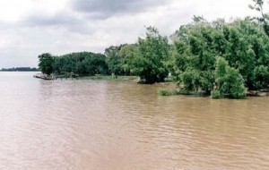 Isla y el Rio Parana