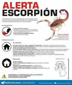 alacran o escorpion