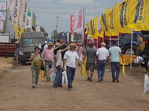 Expo agro 2016 (27)