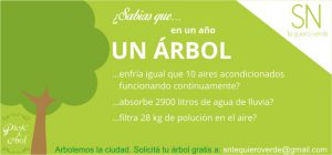 Plantá tu árbol