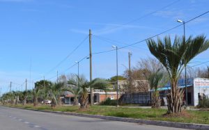 DSC_0881...