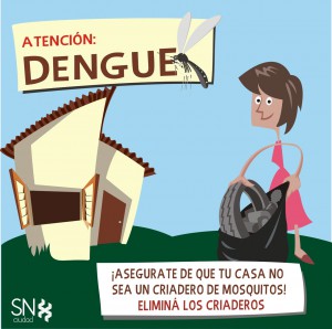 dengue afiche 2016 placas face2