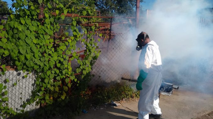 FUMIGACIÓN-1